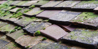 Llanmiloe roof repair costs